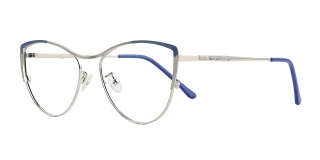 Blue Eyeglasses 00465B
