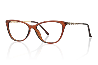 brown Eyeglasses