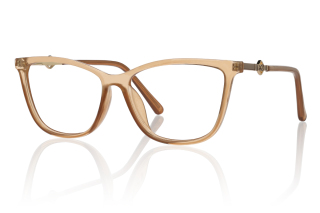 brown Eyeglasses