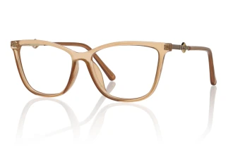 brown Eyeglasses