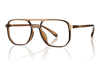 brown Eyeglasses