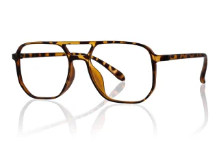 tortoiseshell Eyeglasses