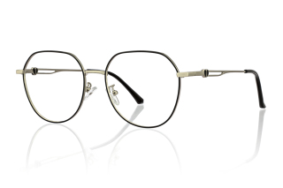 black_silver Eyeglasses