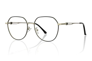 black_silver Eyeglasses