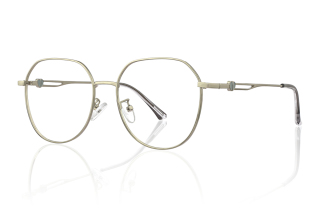 silver Eyeglasses