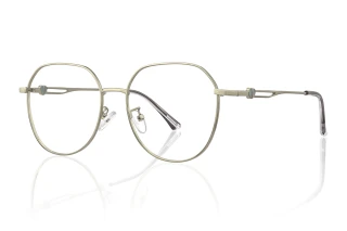 silver Eyeglasses