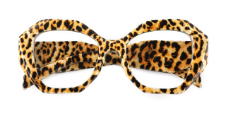 tortoiseshell Eyeglasses