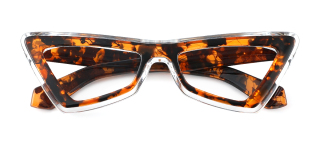 tortoiseshell Eyeglasses