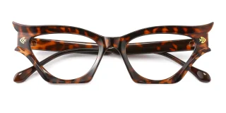 tortoiseshell Eyeglasses