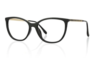 black Eyeglasses