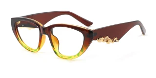 Brown Eyeglasses 06655B