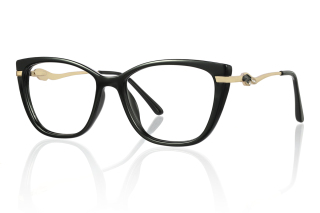 black Eyeglasses