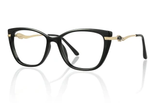 black Eyeglasses