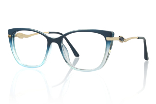 blue Eyeglasses