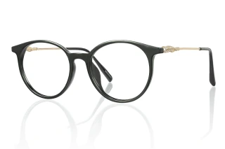 black Eyeglasses