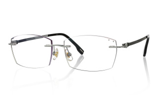 silver Eyeglasses