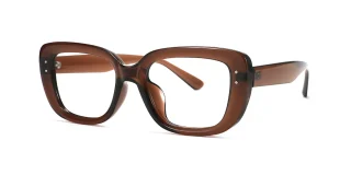 Brown Eyeglasses 09075B