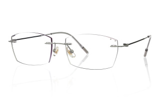 silver Eyeglasses