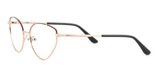 other Eyeglasses
