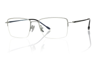 silver Eyeglasses