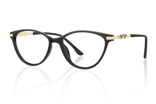 black Eyeglasses