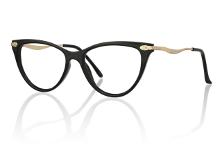 black Eyeglasses