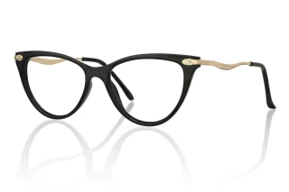 black Eyeglasses