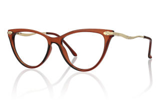 brown Eyeglasses