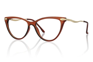 brown Eyeglasses