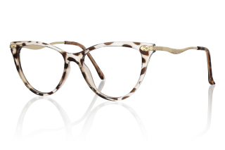 tortoiseshell Eyeglasses