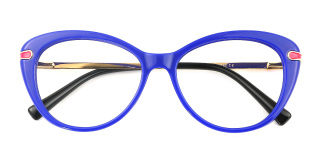 blue Eyeglasses