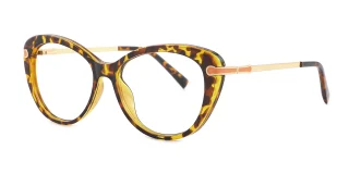 Tortoiseshell Eyeglasses 13743E