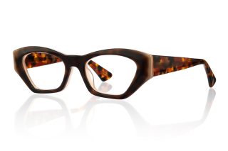 tortoiseshell Eyeglasses
