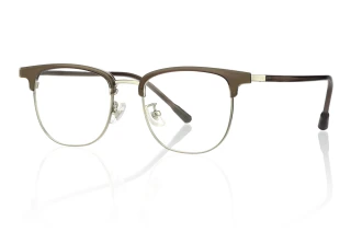 Brown_silver Eyeglasses 15374D