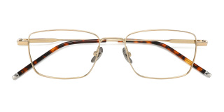 tortoiseshell Eyeglasses