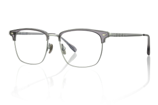 silver Eyeglasses
