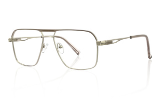 silver Eyeglasses