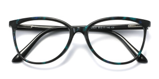 other Eyeglasses