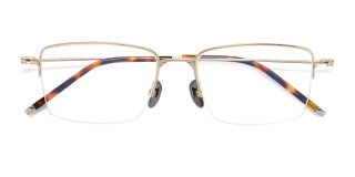 tortoiseshell Eyeglasses
