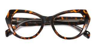 tortoiseshell Eyeglasses