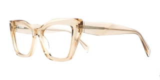 Brown Eyeglasses 23690B