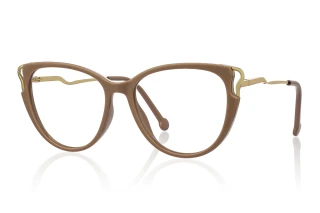 brown Eyeglasses