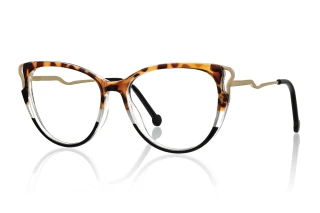 tortoiseshell Eyeglasses