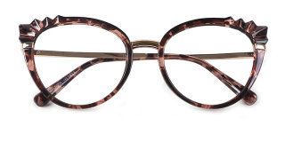 tortoiseshell Eyeglasses