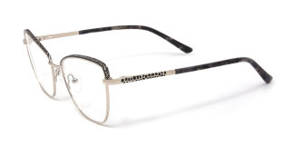 black Eyeglasses