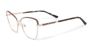 brown Eyeglasses
