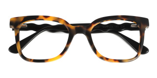 tortoiseshell Eyeglasses