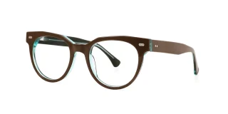 Brown Eyeglasses 28849B