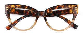 tortoiseshell Eyeglasses