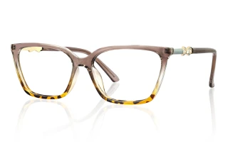 other Eyeglasses